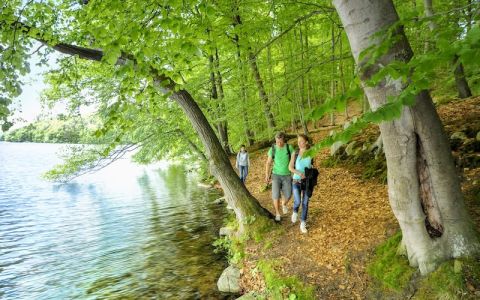 Image for Duitsland, Retreat Park Am See Nattika - Bossen en meren Brodaer Holz