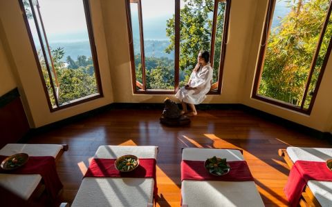 Image for Ananda in the Himalayas, India