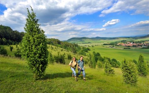Image for Duitsland, Kurhaus Hotel Bad Bocklet - ongerepte Hochrhöner