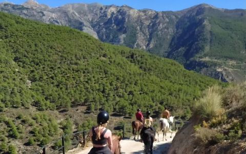 Image for Spanje, Harmony Home - wandelen en paardrijden in Andalusië