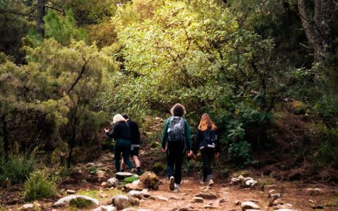 Image for Shanti-Som | Spanje