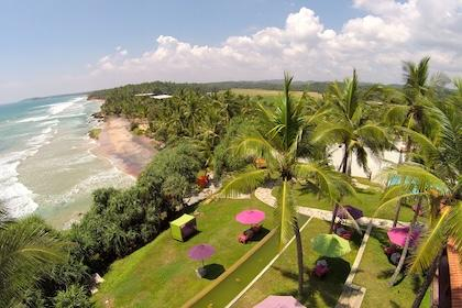 Ontdek onze luxe ayurveda retreaats, luxe wellnesshotels en pachakarma resorts in Sri Lanka. Zorgvuldig geselecteerd, persoonlijk advies en op maat gemaakt. 