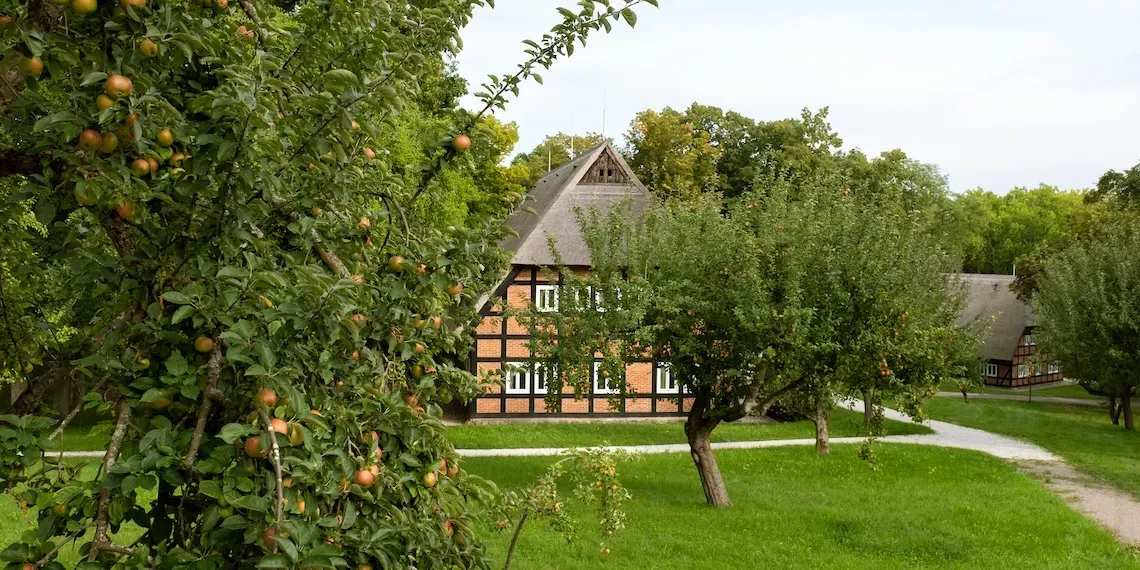 Hotel View | Park Am See Ayurveda Retreat