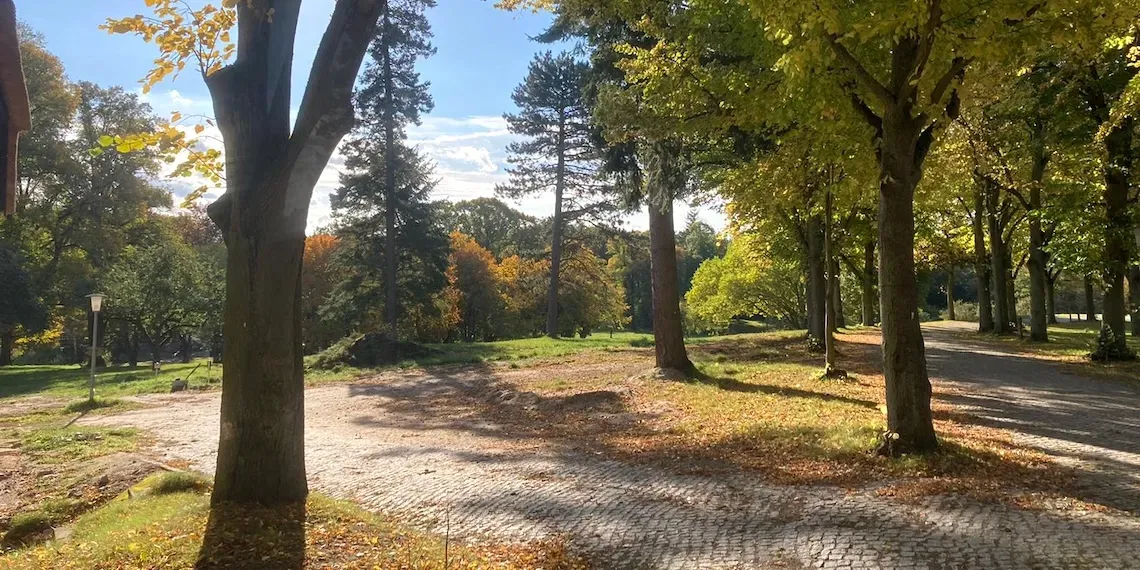 Park | Park Am See Ayurveda Retreat