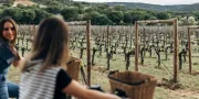 Castilla Termal Monasterio de Valbuena | Fietsen