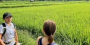 Rice fields COMO Shambhala Estate