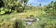 Garden of Peace Fivelements Retreat Bali