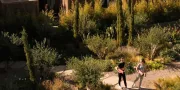 yoga in tuin