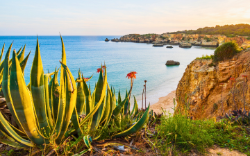Blog: Portugal